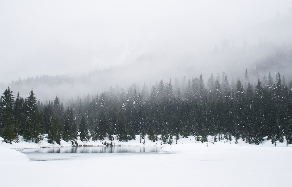 Verschneite Winterlandschaft rund um Bad Wörishofen
